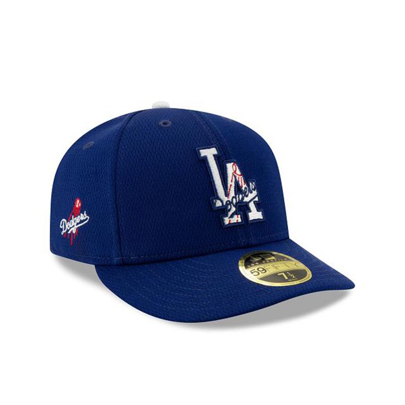 MLB Los Angeles Dodgers 2021 Spring Training Low Profile 59Fifty Fitted (PKV6414) - Blue New Era Caps